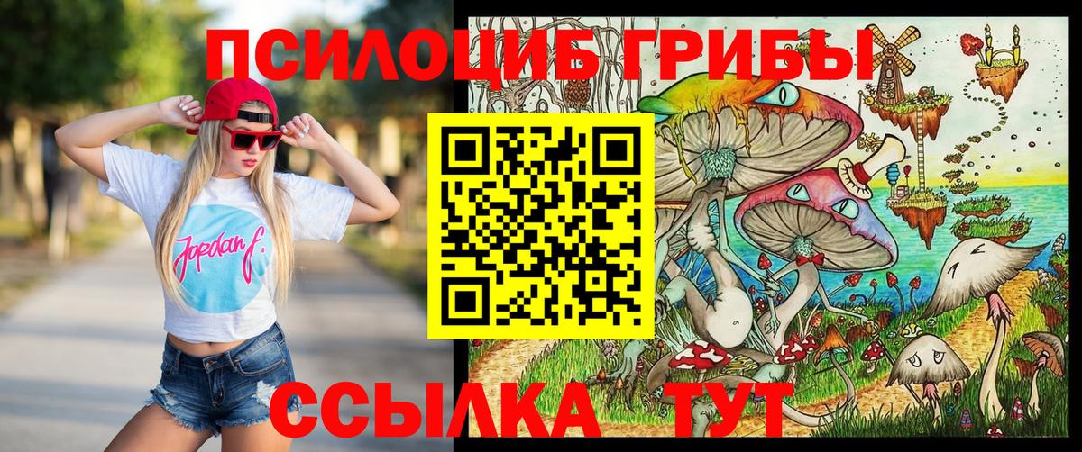 Галлюциногенные грибы прущие грибы  Вход с VPN  Раменское  Псилоцибиновые грибы Psilocybine cubensis 